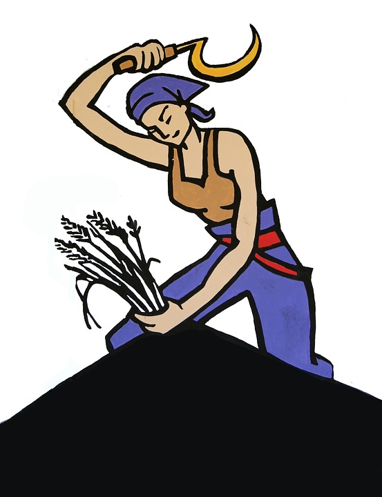 Working_Woman_Cutting_Grains